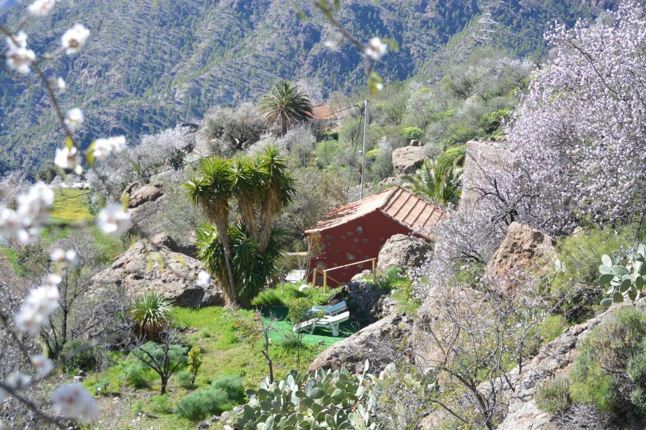 Вілла Casa Cueva El Pedregal Tejeda Екстер'єр фото